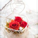 flower gift