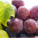 Grapes